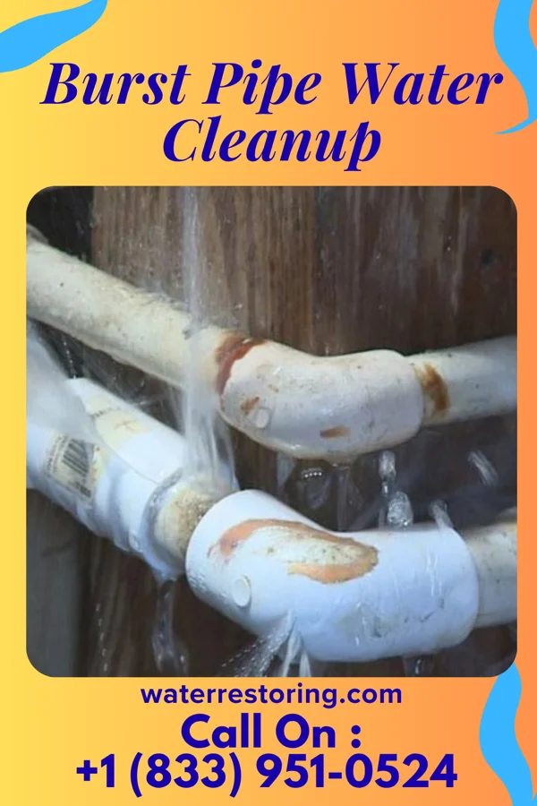 Burst Pipe Water Cleanup in McDonald, OH
