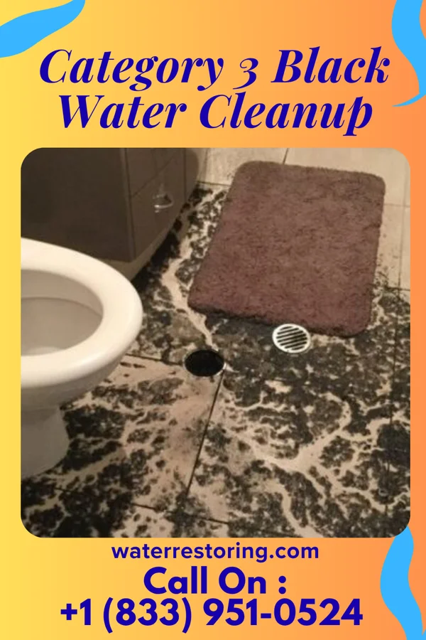Category 3 Black Water Cleanup in McDonald, OH
