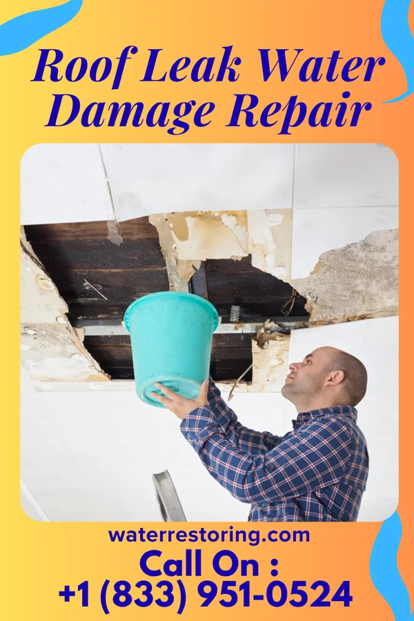 Roof Leak Water Damage Repair in McDonald, OH