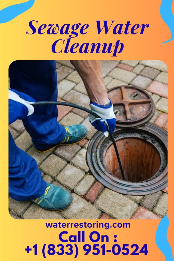Sewage Water Cleanup in McDonald, OH